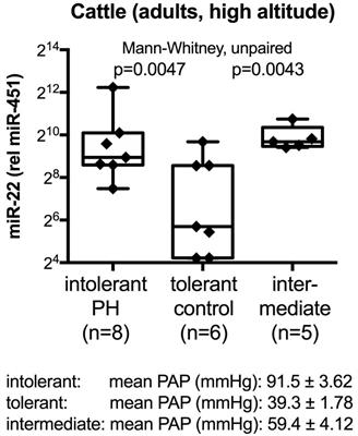 Circulating MicroRNA Markers for Pulmonary Hypertension in Supervised Exercise Intervention and Nightly Oxygen Intervention